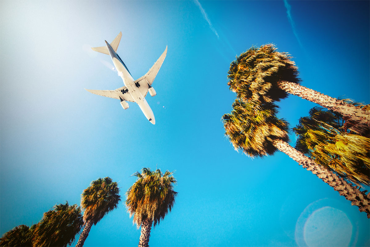 Airplane Landing In Los Angeles Airport